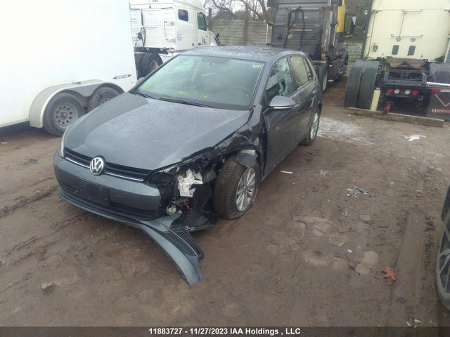 3VW217AU6GM051247 Volkswagen Golf Trendline/highline