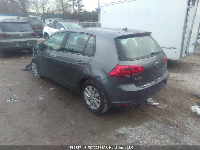 3VW217AU6GM051247 Volkswagen Golf Trendline/highline