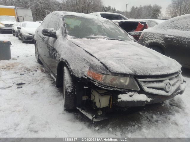 Auction sale of the 2008 Acura Tsx, vin: JH4CL95868C801323, lot number: 11888837