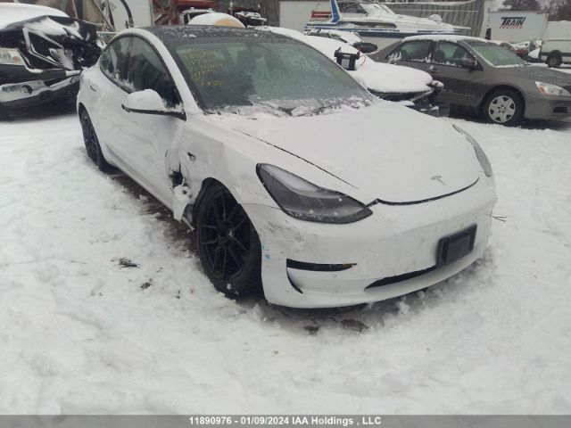 Продаж на аукціоні авто 2021 Tesla Model 3, vin: 5YJ3E1EA5MF017261, номер лоту: 11890976