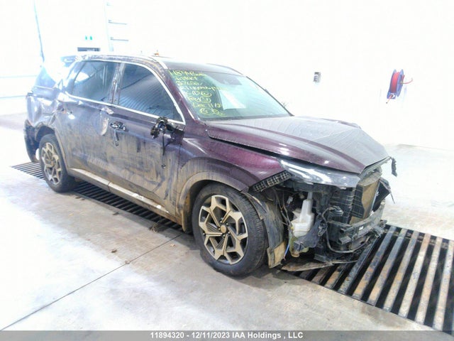 Hyundai Palisade Limited 2021 KM8R5DHE7MU276587 Image 1