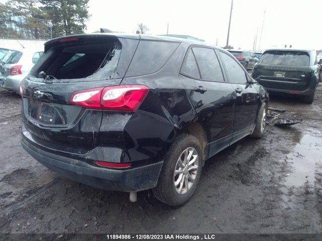 Chevrolet EQUINOX LS 2019 2GNAXSEV8K6136149 Image 4