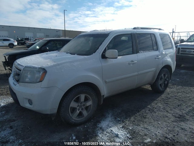 Продаж на аукціоні авто 2011 Honda Pilot Ex-l W/res, vin: 5FNYF4H6XBB507722, номер лоту: 11858782