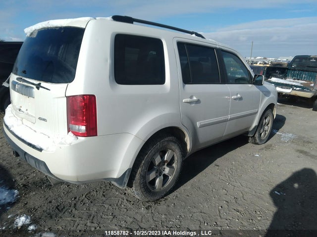 Продаж на аукціоні авто 2011 Honda Pilot Ex-l W/res, vin: 5FNYF4H6XBB507722, номер лоту: 11858782