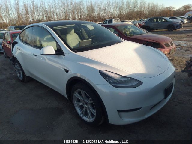 Продаж на аукціоні авто 2021 Tesla Model Y Long Range, vin: 5YJYGAEE5MF293796, номер лоту: 11896926