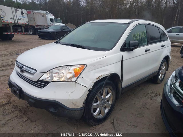 Aukcja sprzedaży 2008 Honda Cr-v, vin: 5J6RE48548L805990, numer aukcji: 11897815