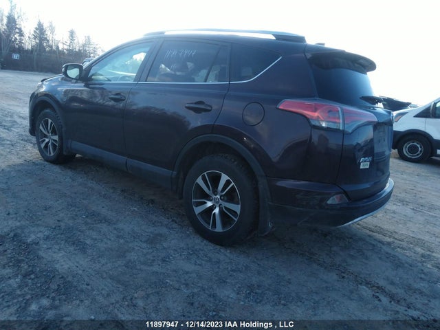 Toyota Rav4 Xle 2016 2T3RFREV9GW477398 Image 3