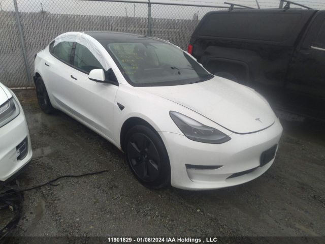 Продажа на аукционе авто 2023 Tesla Model 3, vin: LRW3E1FA9PC875328, номер лота: 11901829