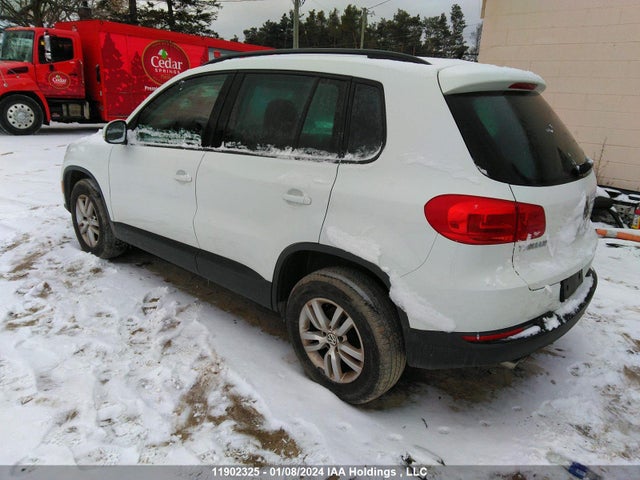 WVGJV3AX2EW598733 Volkswagen TIGUAN