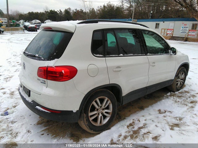 WVGJV3AX2EW598733 Volkswagen TIGUAN