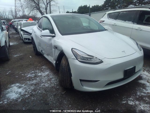 Продажа на аукционе авто 2022 Tesla Model Y, vin: 7SAYGDEEXNF466640, номер лота: 11903116