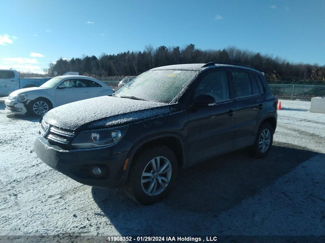WVGJV7AX8FW530776 Volkswagen TIGUAN