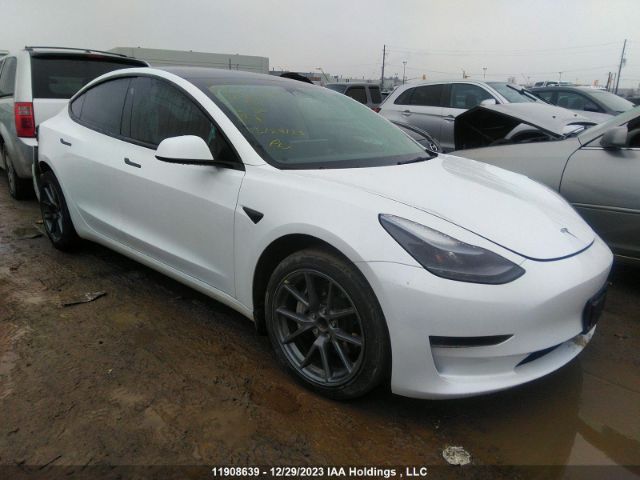 11908639 :رقم المزاد ، LRW3E1FA8PC845141 vin ، 2023 Tesla Model 3 مزاد بيع
