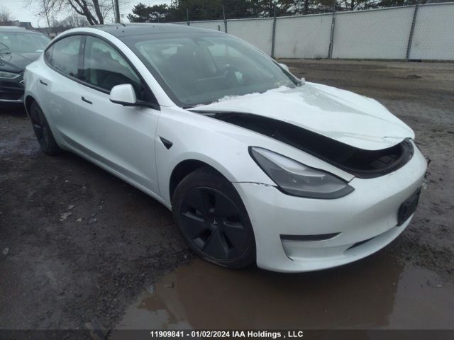 Продаж на аукціоні авто 2021 Tesla Model 3, vin: 5YJ3E1EA9MF082355, номер лоту: 11909841
