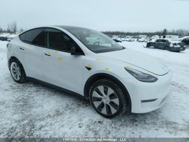 Auction sale of the 2021 Tesla Model Y Standard Range Rear-wheel Drive, vin: 5YJYGDED7MF107233, lot number: 11917018