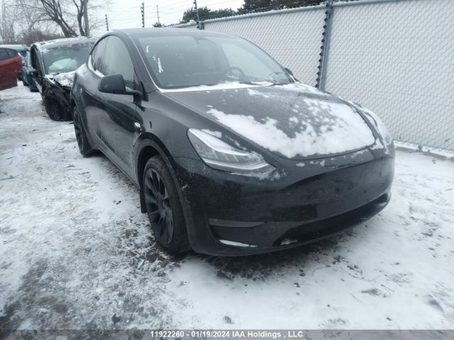 Продаж на аукціоні авто 2023 Tesla Model Y, vin: 7SAYGDEE1PF583588, номер лоту: 11922260