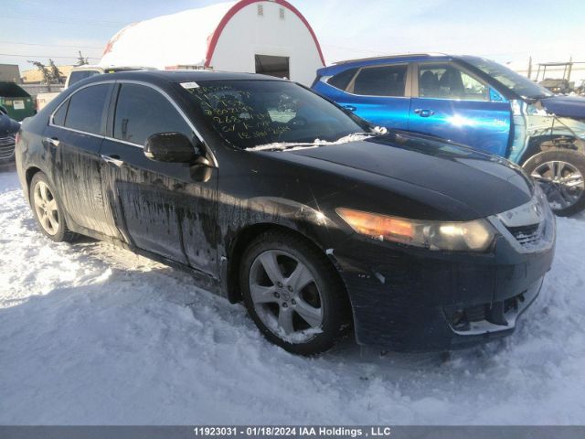 Auction sale of the 2009 Acura Tsx, vin: JH4CU266X9C802249, lot number: 11923031