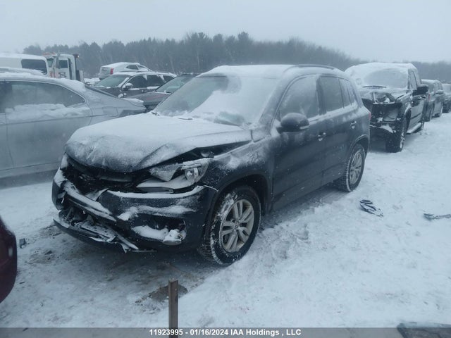 WVGJV7AX1FW560041 Volkswagen TIGUAN
