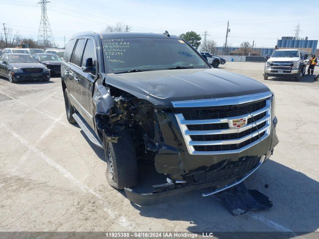 Auction sale of the 2019 Cadillac Escalade Luxury, vin: 1GYS4BKJ0KR372199, lot number: 11925388