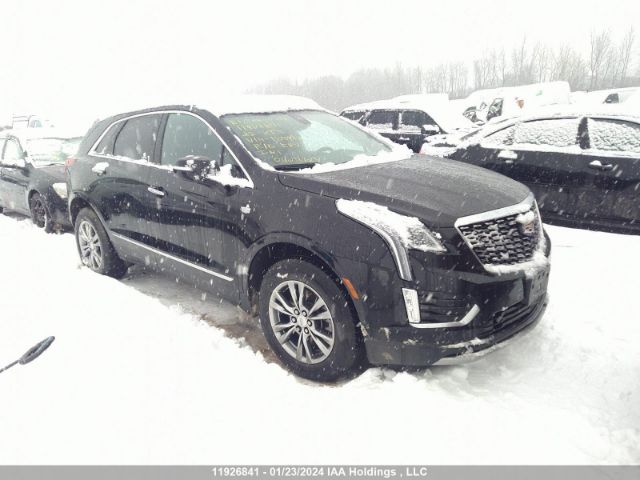 Auction sale of the 2022 Cadillac Xt5, vin: 1GYKNDR47NZ154919, lot number: 11926841
