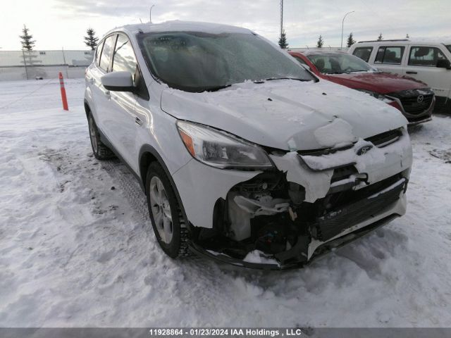 Auction sale of the 2016 Ford Escape Se, vin: 1FMCU9GX6GUC69224, lot number: 11928864