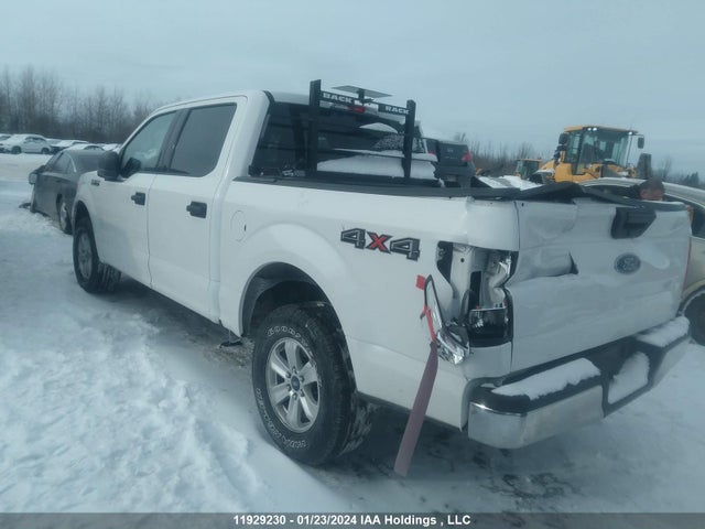 1FTEW1E5XLFB10070 Ford F150 Supercrew