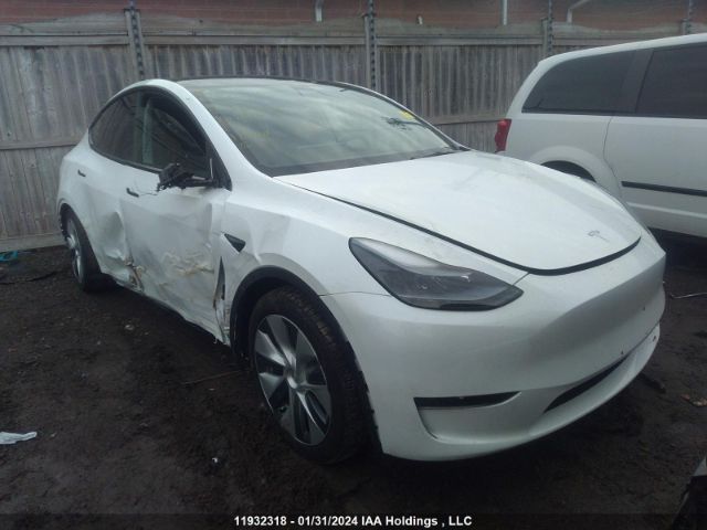 Продажа на аукционе авто 2023 Tesla Model Y, vin: LRWYGDFD8PC967381, номер лота: 11932318