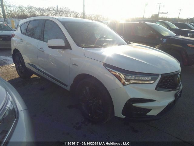 Auction sale of the 2020 Acura Rdx, vin: 5J8TC2H6XLL804366, lot number: 11933617