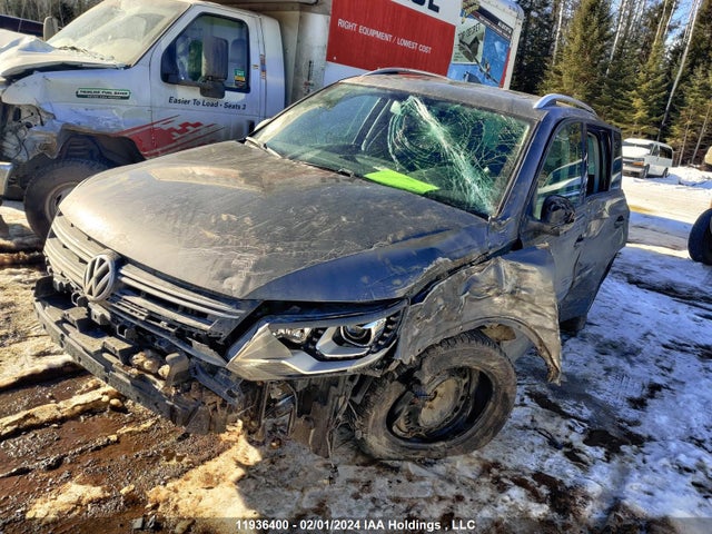 WVGJV7AX6FW559094 Volkswagen TIGUAN