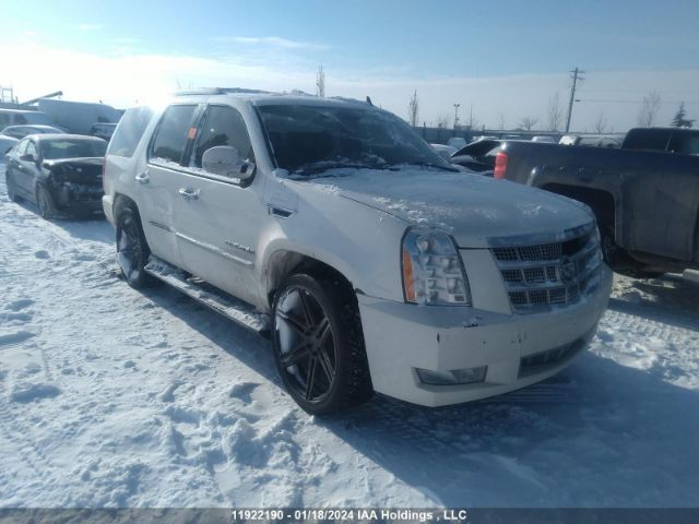 Auction sale of the 2009 Cadillac Escalade, vin: 1GYFK33229R149225, lot number: 11922190
