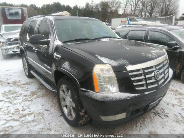 Auction sale of the 2007 Cadillac Escalade Standard, vin: 1GYFK63817R185359, lot number: 11939638
