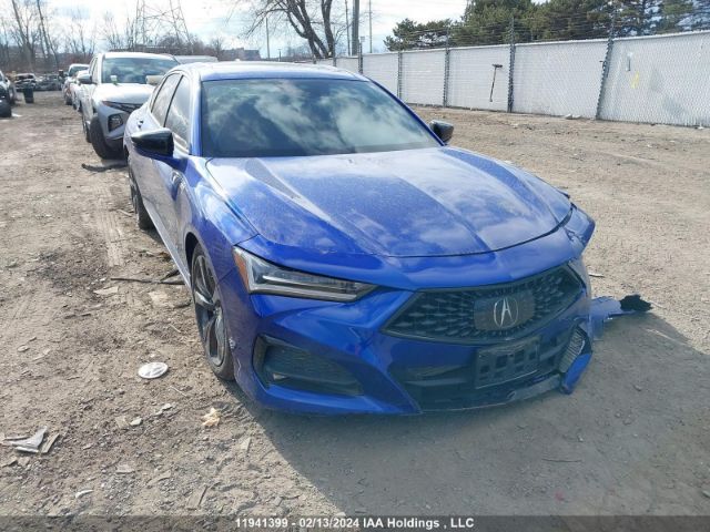Auction sale of the 2021 Acura Tlx, vin: 19UUB6F56MA800398, lot number: 11941399