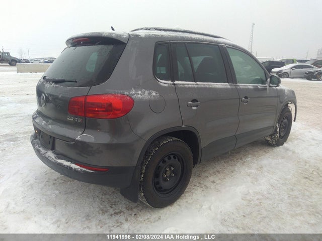 WVGKV3AX5EW583060 Volkswagen TIGUAN S
