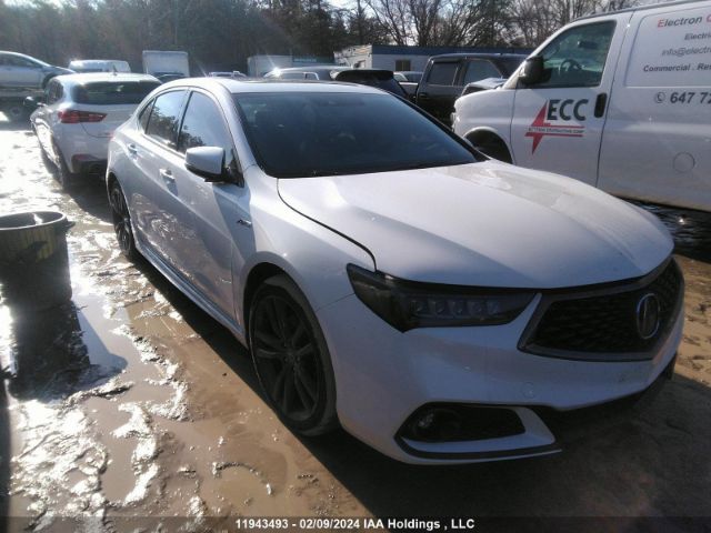 Auction sale of the 2018 Acura Tlx, vin: 19UUB3F6XJA801900, lot number: 11943493