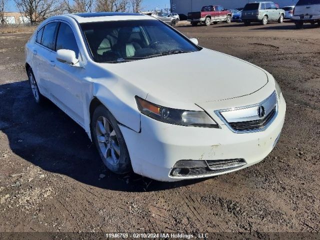 Auction sale of the 2012 Acura Tl, vin: 19UUA8F21CA801526, lot number: 11946769