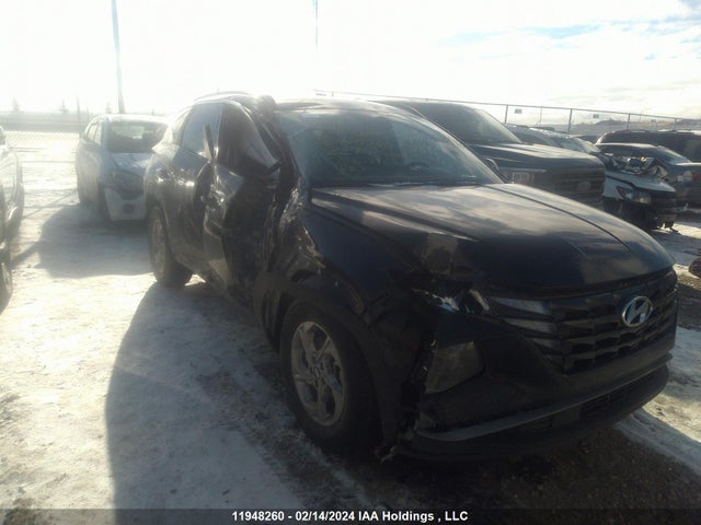 Hyundai TUCSON SEL 2022 KM8JBCAE8NU149245 головне зображення