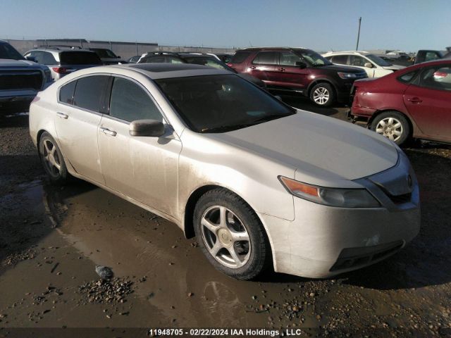 Auction sale of the 2009 Acura Tl, vin: 19UUA86569A800407, lot number: 11948705