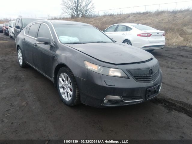 Auction sale of the 2012 Acura Tl, vin: 19UUA9F25CA800384, lot number: 11951839