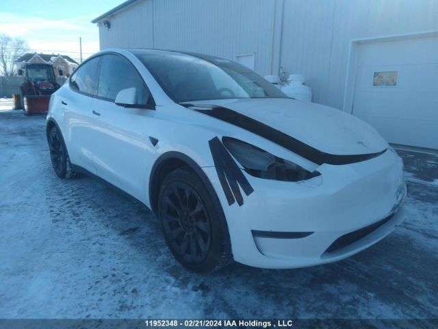 Продажа на аукционе авто 2020 Tesla Model Y, vin: 5YJYGDEE3LF049161, номер лота: 11952348