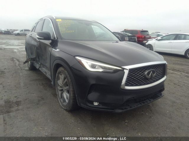 Auction sale of the 2019 Infiniti Qx50 Essential/pure, vin: 3PCAJ5M34KF129026, lot number: 11955229