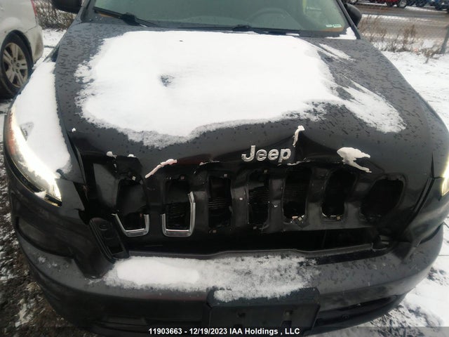 1C4PJMCS7GW223675 Jeep Cherokee North