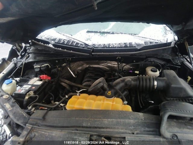 Ford F150 Supercrew 2016 1FTFW1EFXGFC93473 Image 10
