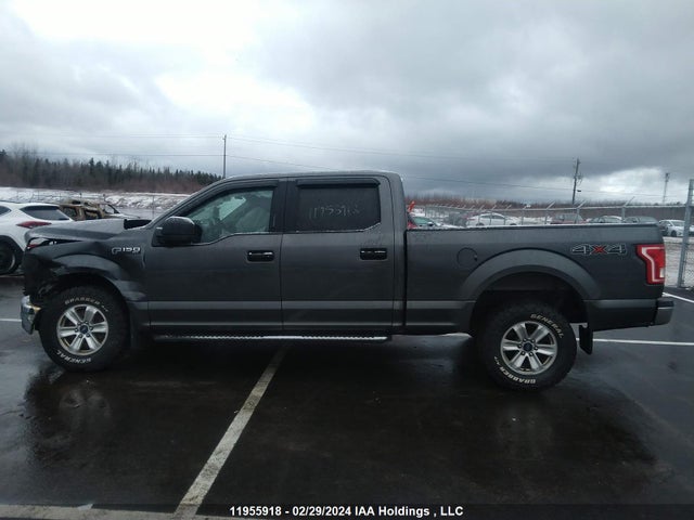Ford F150 Supercrew 2016 1FTFW1EFXGFC93473 Image 14