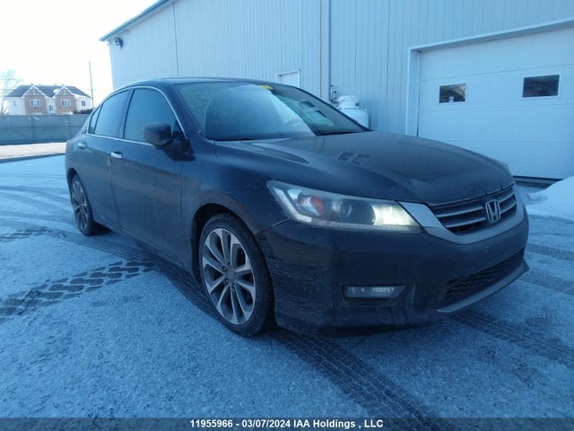 11955966 :رقم المزاد ، 1HGCR2F59FA800950 vin ، 2015 Honda Accord مزاد بيع