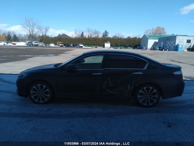 11955966 :رقم المزاد ، 1HGCR2F59FA800950 vin ، 2015 Honda Accord مزاد بيع