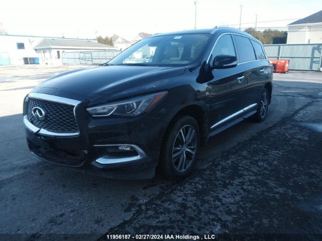 5N1DL0MM3LC529317 Infiniti Qx60 Luxe/pure/special Edition