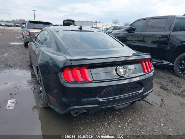 Ford Mustang Ecoboost 2022 1FA6P8TD2N5114827 Image 3