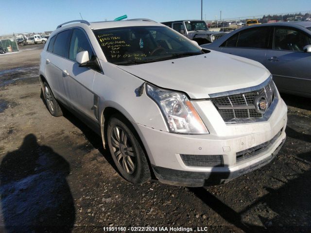 Auction sale of the 2011 Cadillac Srx, vin: 3GYFNDEY6BS584668, lot number: 11951160