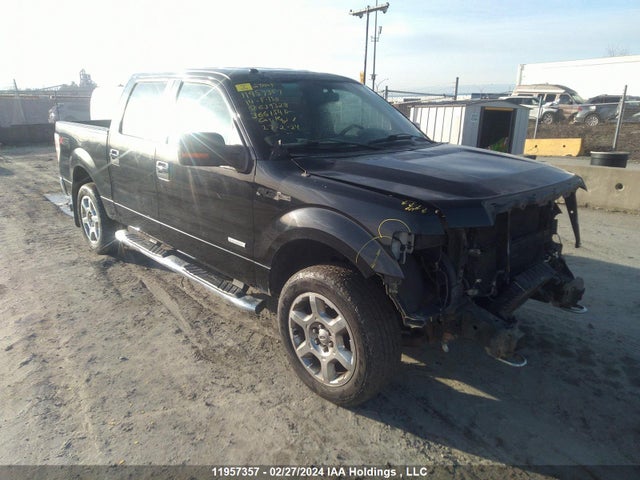 Ford F-150 Xlt 2014 1FTFW1ET9EKG39328 main image