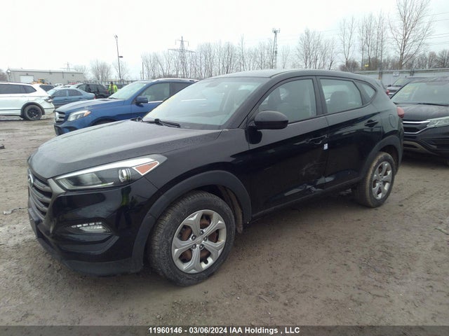 Hyundai TUCSON 2016 KM8J23A47GU108292 Image 2